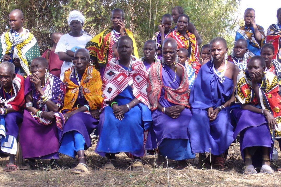 Femi development Tanzania